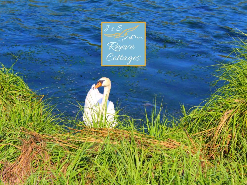 Premier Waterfront Cottage 2 Riverhead Bagian luar foto